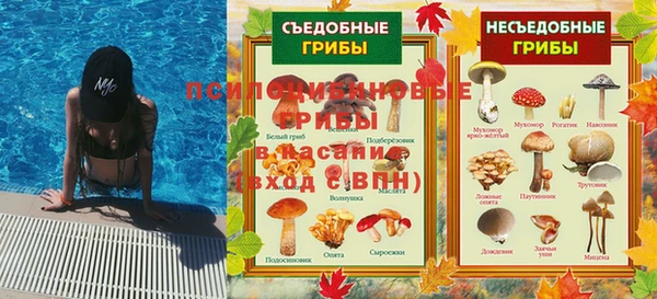 эйфоретик Абинск